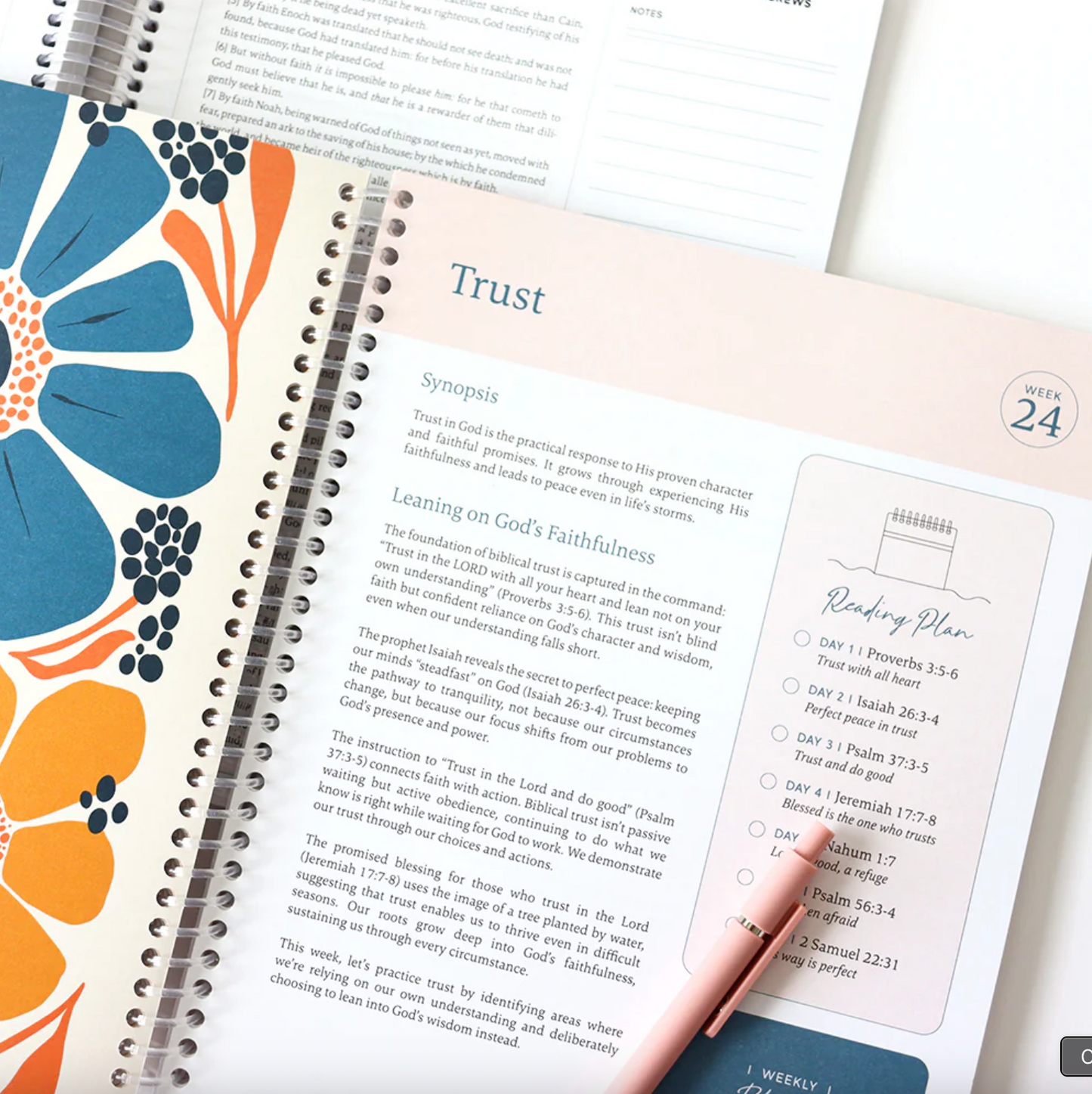 Study Bible - 52 week Journey