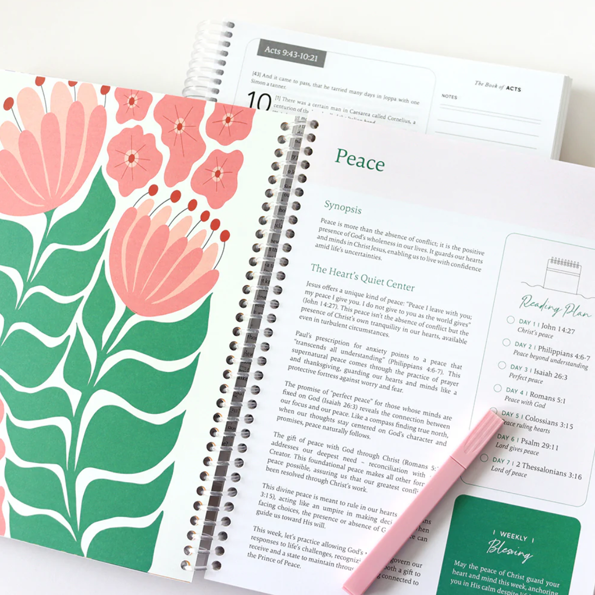Study Bible - 52 week Journey