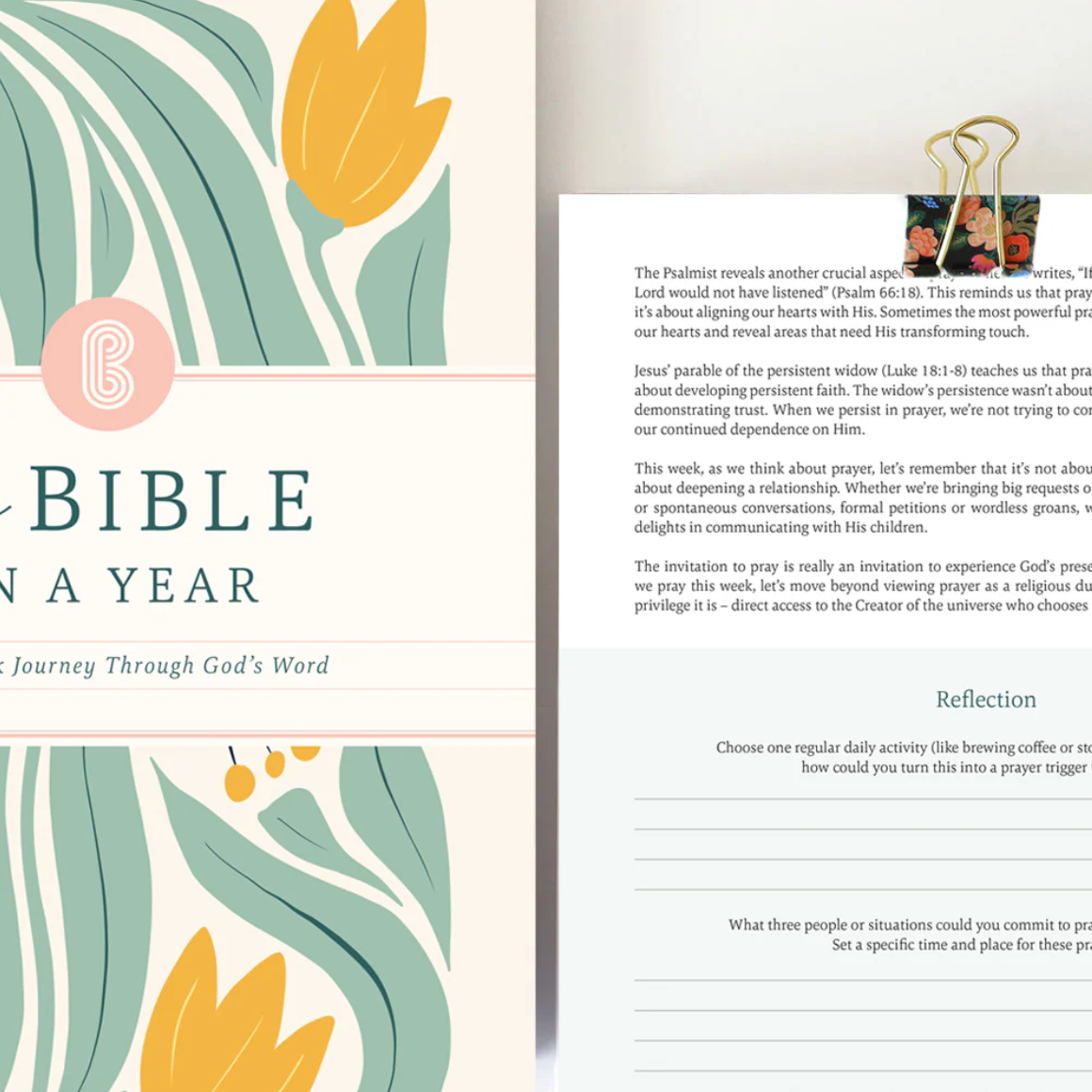 Study Bible - 52 week Journey