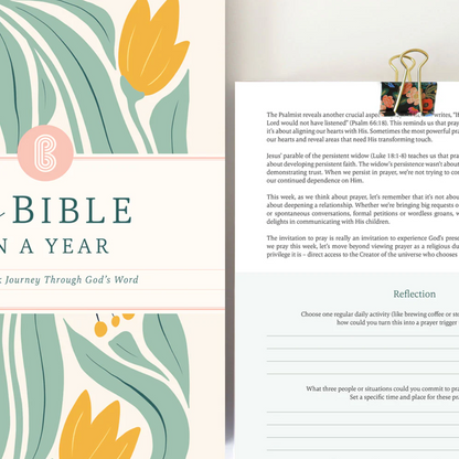 Study Bible - 52 week Journey